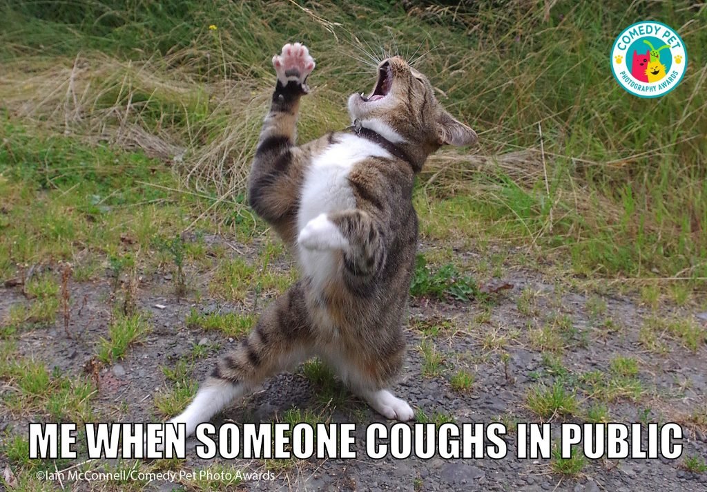 Animal Friends Comedy Pet Photo Awards 2021, #Esilaranti meme per il National Pet Day