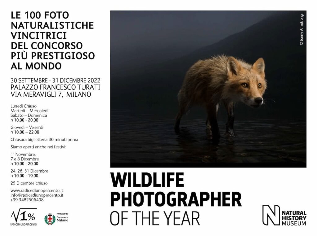 Wildlife Photographer of the Year 2021, #Wildlife Photographer of the Year 2021 in mostra