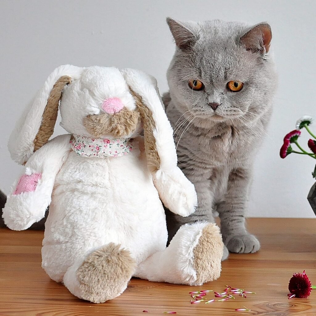 cosa fare per andare in vacanza con un gatto, #Se il micio non resta a casa: vacanze estive pet friendly
