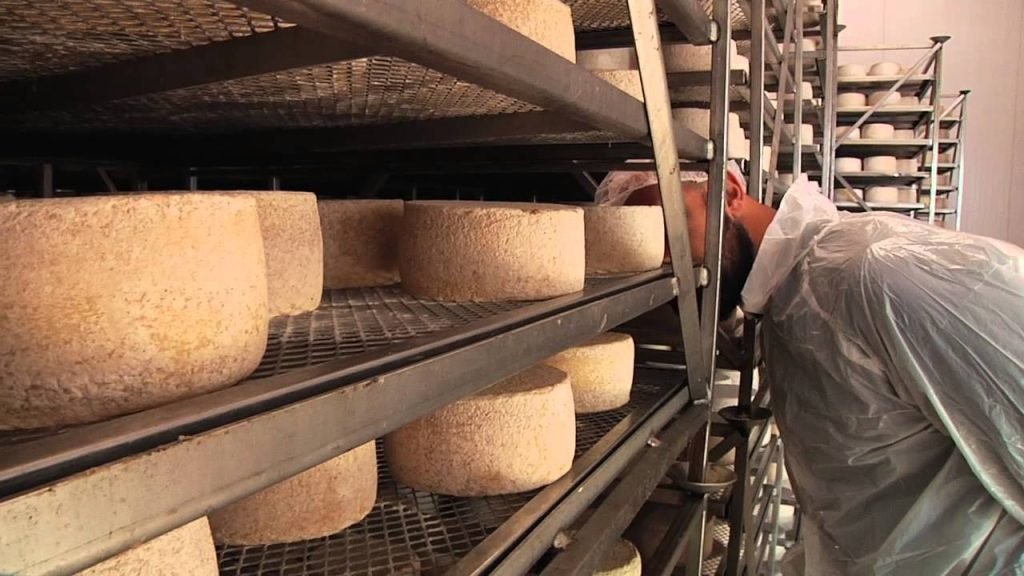 storia del formaggio di fossa dell'Emilia Romagna, Formaggio di Fossa: l&#8217;alchimia casearia della Romagna